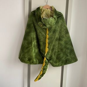 Dinosaur cape